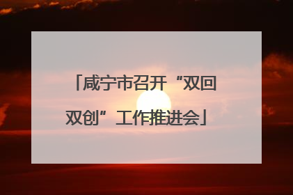 咸宁市召开“双回双创”工作推进会