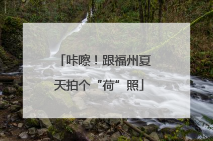 咔嚓！跟福州夏天拍个“荷”照