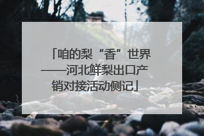 咱的梨“香”世界——河北鲜梨出口产销对接活动侧记