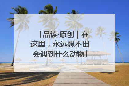 品读·原创｜在这里，永远想不出会遇到什么动物
