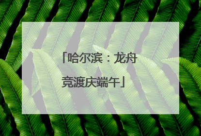 哈尔滨：龙舟竞渡庆端午