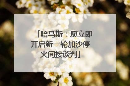 哈马斯：愿立即开启新一轮加沙停火间接谈判