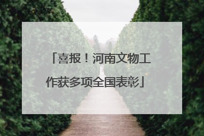 喜报！河南文物工作获多项全国表彰