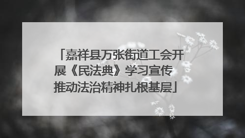 嘉祥县万张街道工会开展《民法典》学习宣传 推动法治精神扎根基层