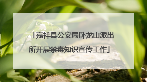 嘉祥县公安局卧龙山派出所开展禁毒知识宣传工作
