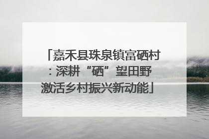 嘉禾县珠泉镇富硒村：深耕“硒”望田野 激活乡村振兴新动能