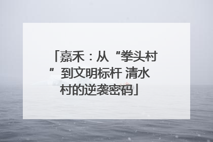 嘉禾：从“拳头村”到文明标杆 清水村的逆袭密码