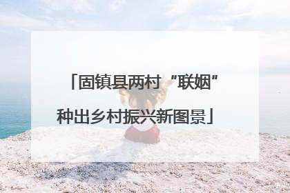 固镇县两村“联姻”种出乡村振兴新图景