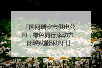 国网瑞安市供电公司：绿色同行添动力 低碳赋能环境日
