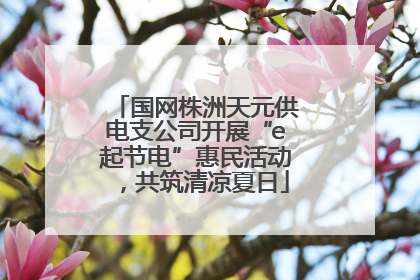 国网株洲天元供电支公司开展“e起节电”惠民活动，共筑清凉夏日