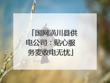 国网潢川县供电公司：贴心服务麦收电无忧