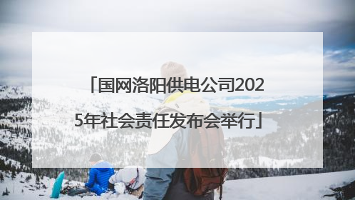 国网洛阳供电公司2025年社会责任发布会举行