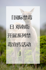 国际禁毒日 邓南街开展系列禁毒宣传活动