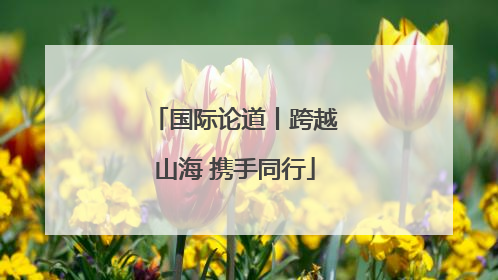 国际论道丨跨越山海 携手同行