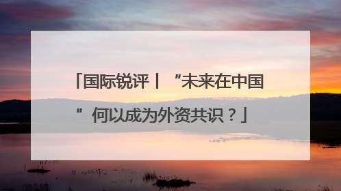 国际锐评丨“未来在中国”何以成为外资共识？