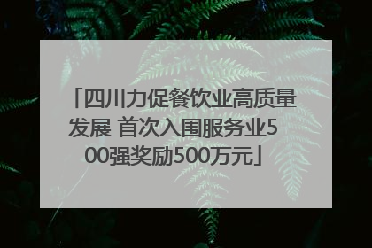 四川力促餐饮业高质量发展 首次入围服务业500强奖励500万元