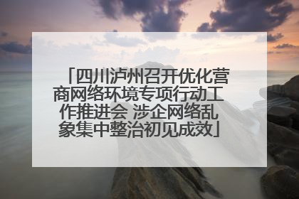 四川泸州召开优化营商网络环境专项行动工作推进会 涉企网络乱象集中整治初见成效