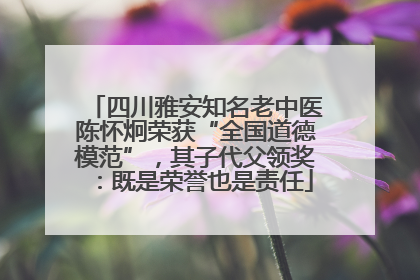 四川雅安知名老中医陈怀炯荣获“全国道德模范”，其子代父领奖：既是荣誉也是责任