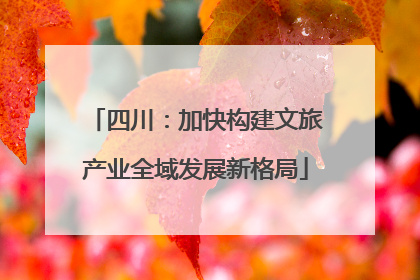 四川：加快构建文旅产业全域发展新格局