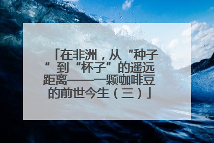 在非洲，从“种子”到“杯子”的遥远距离——一颗咖啡豆的前世今生（三）