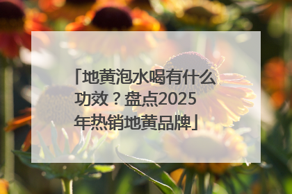 地黄泡水喝有什么功效？盘点2025年热销地黄品牌