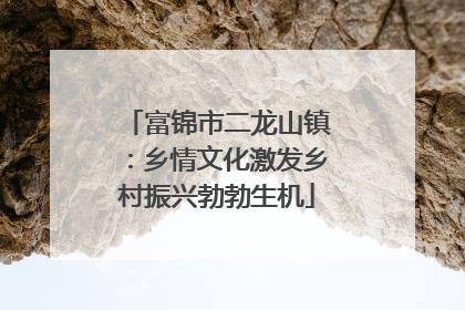 富锦市二龙山镇：乡情文化激发乡村振兴勃勃生机