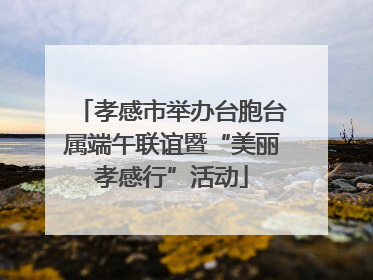孝感市举办台胞台属端午联谊暨“美丽孝感行”活动