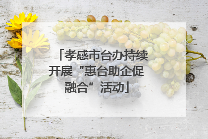 孝感市台办持续开展“惠台助企促融合”活动