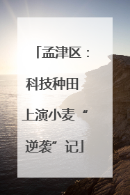 孟津区：科技种田 上演小麦“逆袭”记