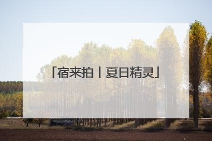 宿来拍丨夏日精灵