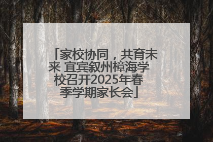 家校协同，共育未来 宜宾叙州樟海学校召开2025年春季学期家长会