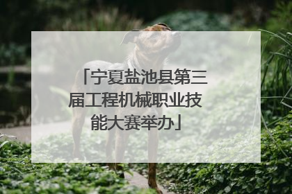 宁夏盐池县第三届工程机械职业技能大赛举办