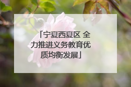 宁夏西夏区 全力推进义务教育优质均衡发展