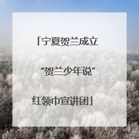 宁夏贺兰成立“贺兰少年说”红领巾宣讲团