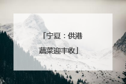 宁夏：供港蔬菜迎丰收