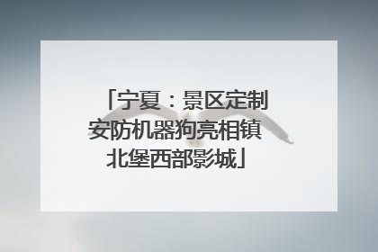 宁夏：景区定制安防机器狗亮相镇北堡西部影城