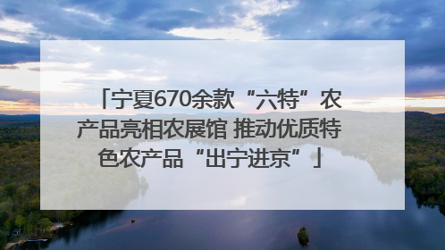宁夏670余款“六特”农产品亮相农展馆 推动优质特色农产品“出宁进京”