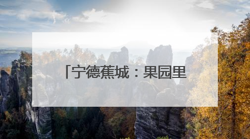 宁德蕉城：果园里来了“科特派”