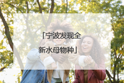 宁波发现全新水母物种