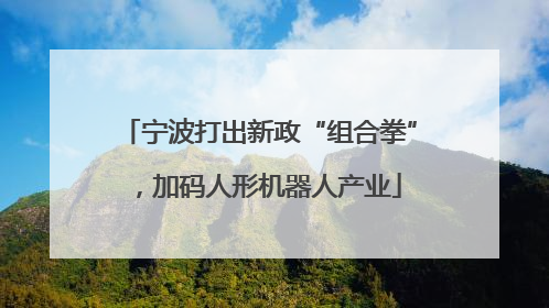 宁波打出新政“组合拳”，加码人形机器人产业