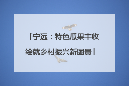 宁远：特色瓜果丰收绘就乡村振兴新图景