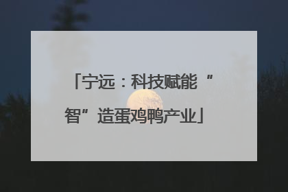 宁远：科技赋能“智”造蛋鸡鸭产业
