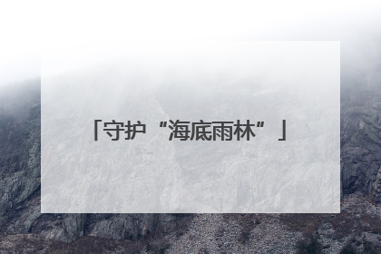 守护“海底雨林”