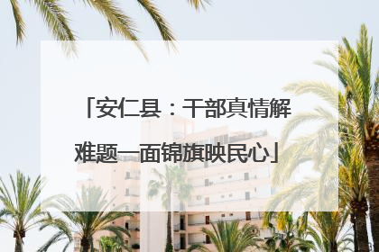 安仁县：干部真情解难题一面锦旗映民心