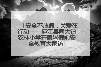 安全不放假，关爱在行动——庐江县同大镇农林小学开展暑假前安全教育大家访
