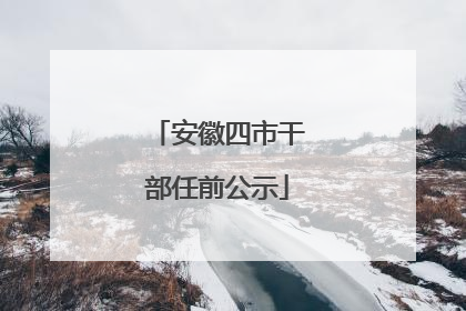 安徽四市干部任前公示