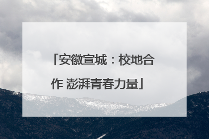 安徽宣城：校地合作 澎湃青春力量