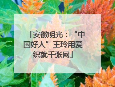 安徽明光：“中国好人”王玲用爱织就千张网