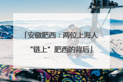 安徽肥西：两位上海人“链上”肥西的背后