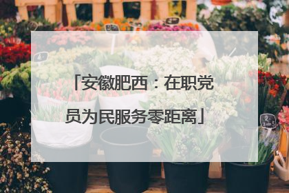安徽肥西：在职党员为民服务零距离